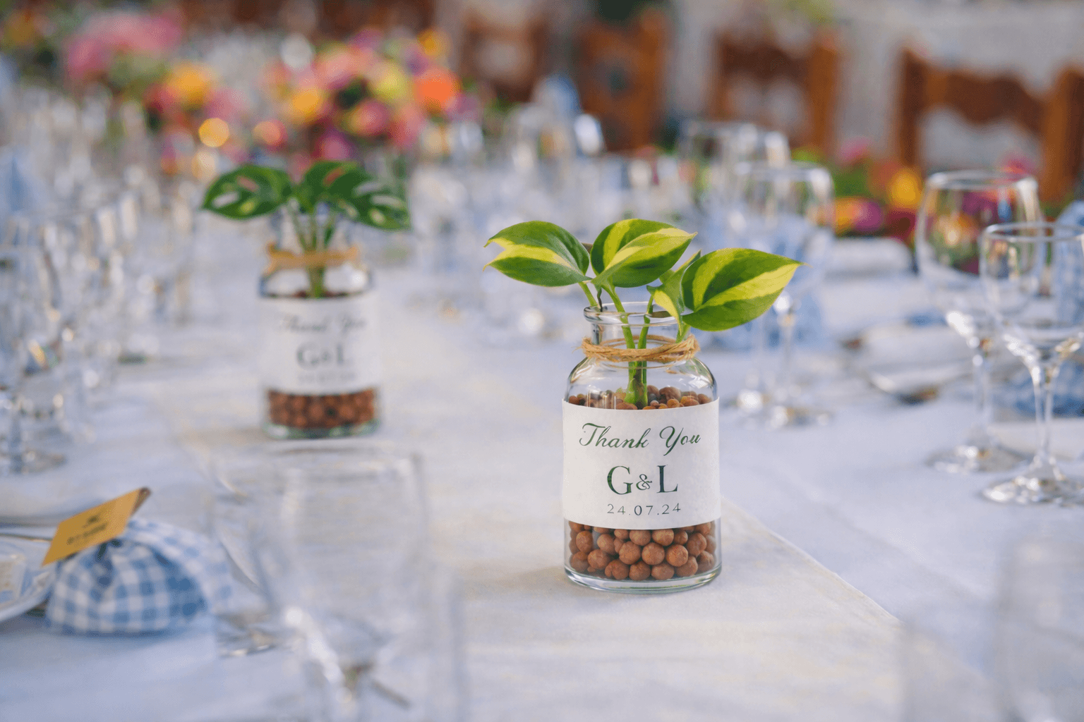 בקבוקי זכוכית עם ייחורי צמחים על שולחן חתונה